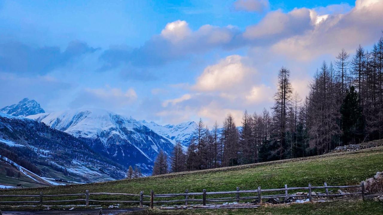 Agriturismo Bosco D'Oro 4 Apartment Livigno Luaran gambar